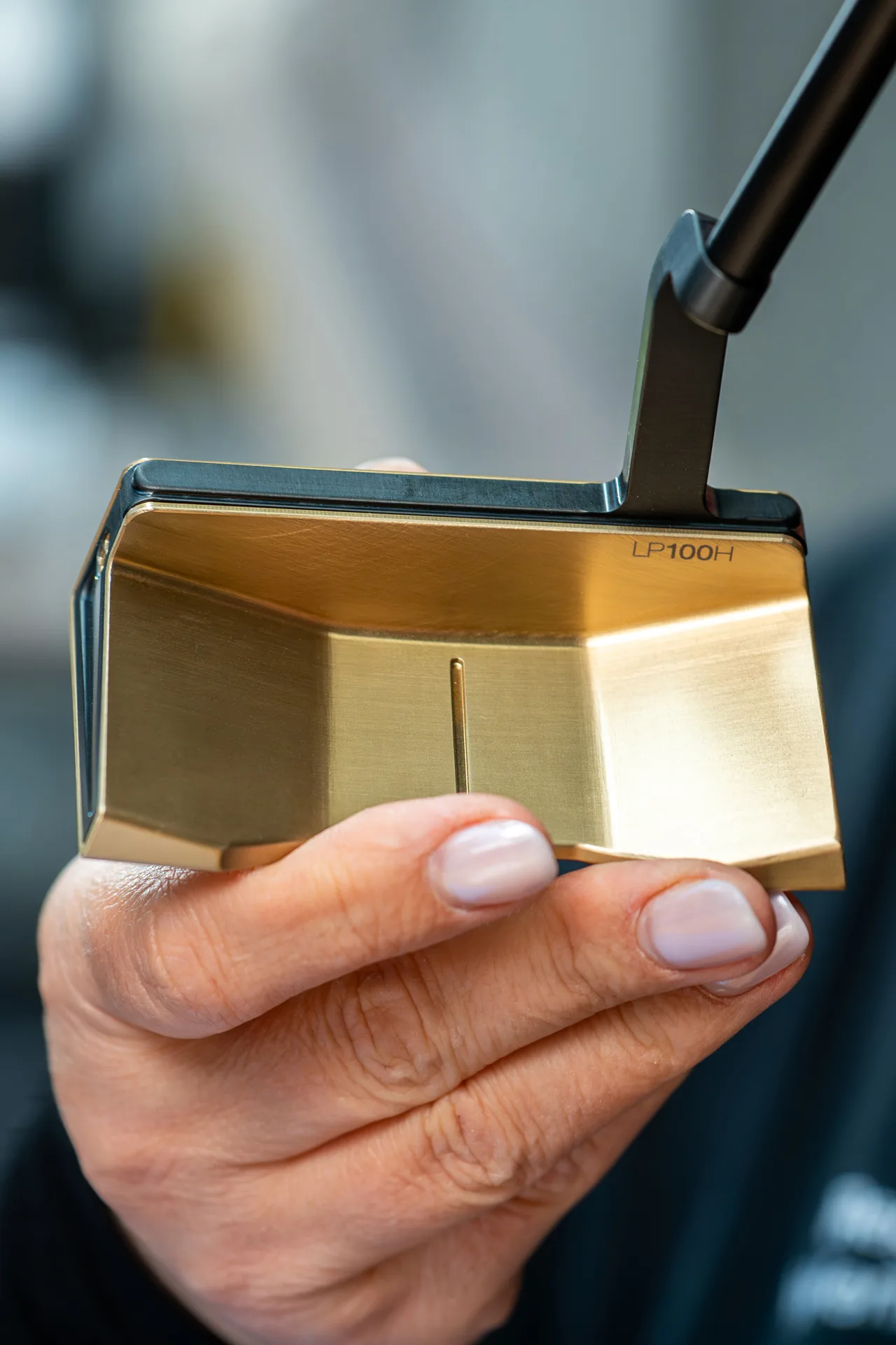 Hand hält einen goldenen LP 100 Hybrid-Kopf